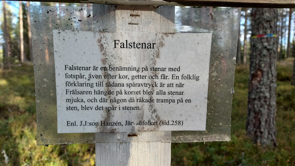 Falsten