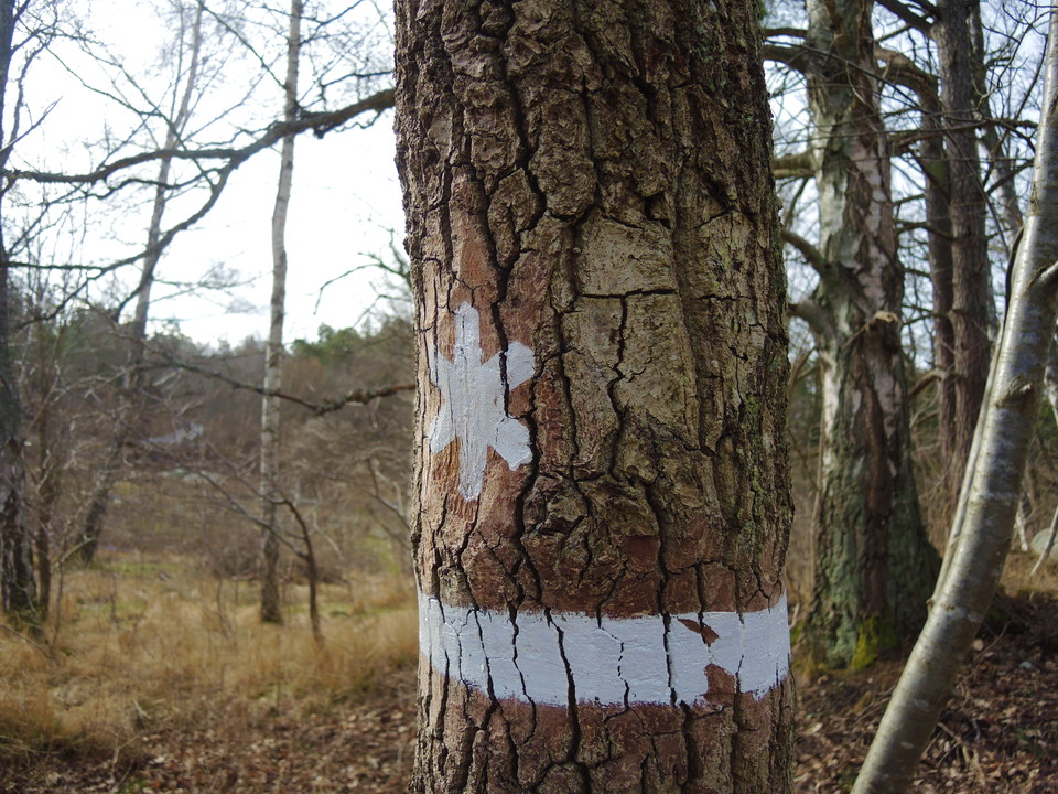 Foto: Sandra Ermalm
