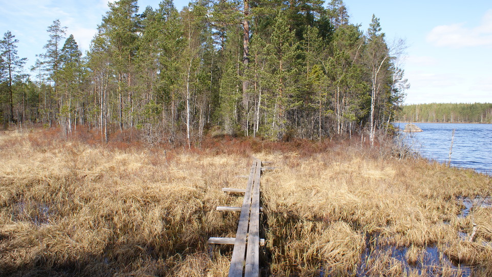 Nästa stopp - St Trehörningen