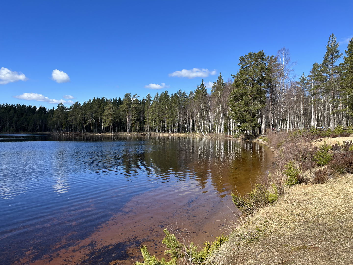 Vy över stranden 