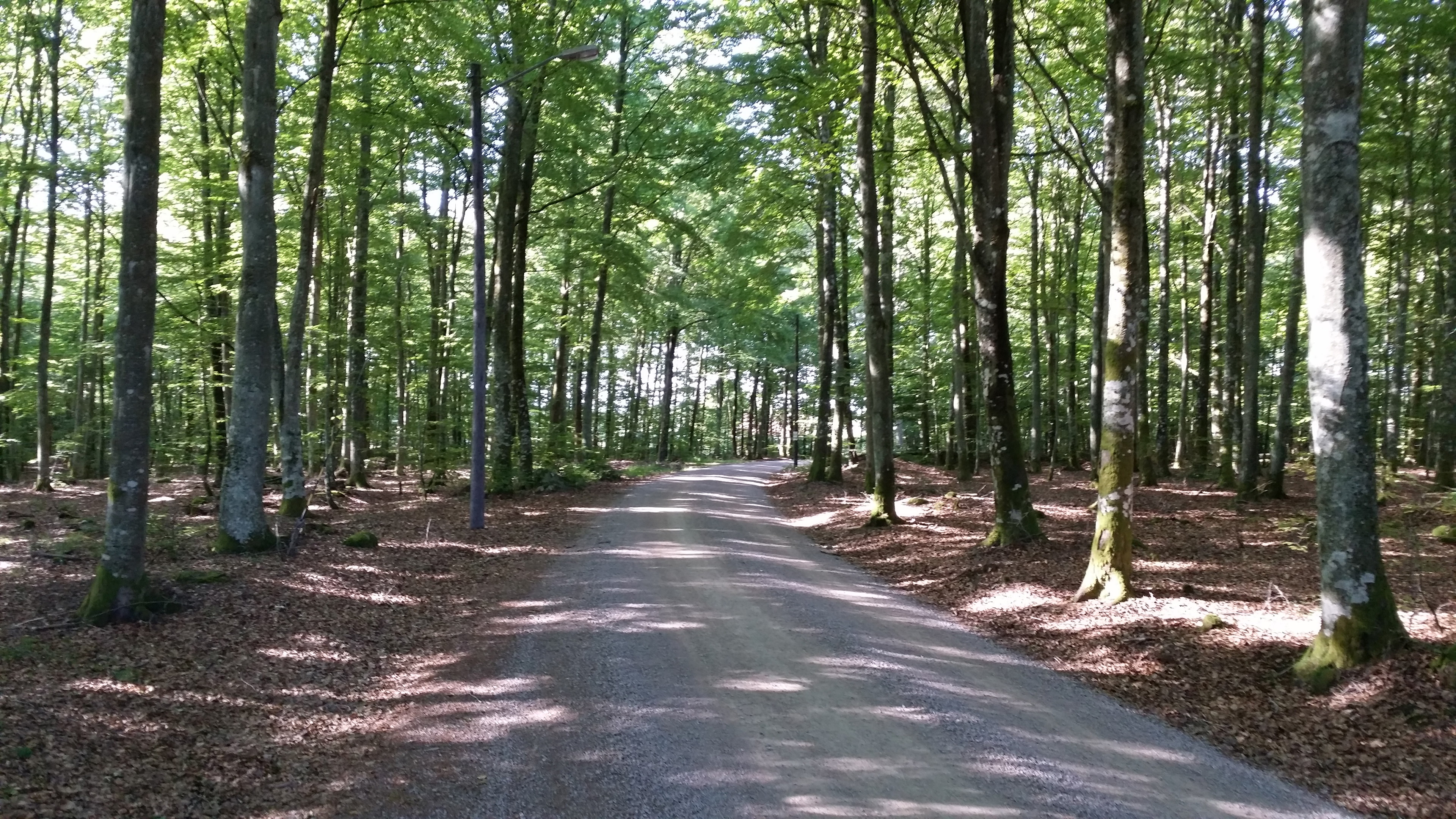 Sigfrid Trail stage SL4 Notteryd-Hemmesjösjön rest area – Part of the Småland Trail