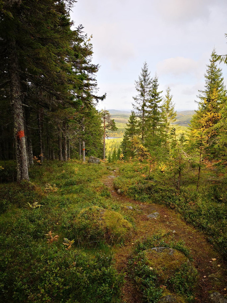 Leden upp på Öråsen