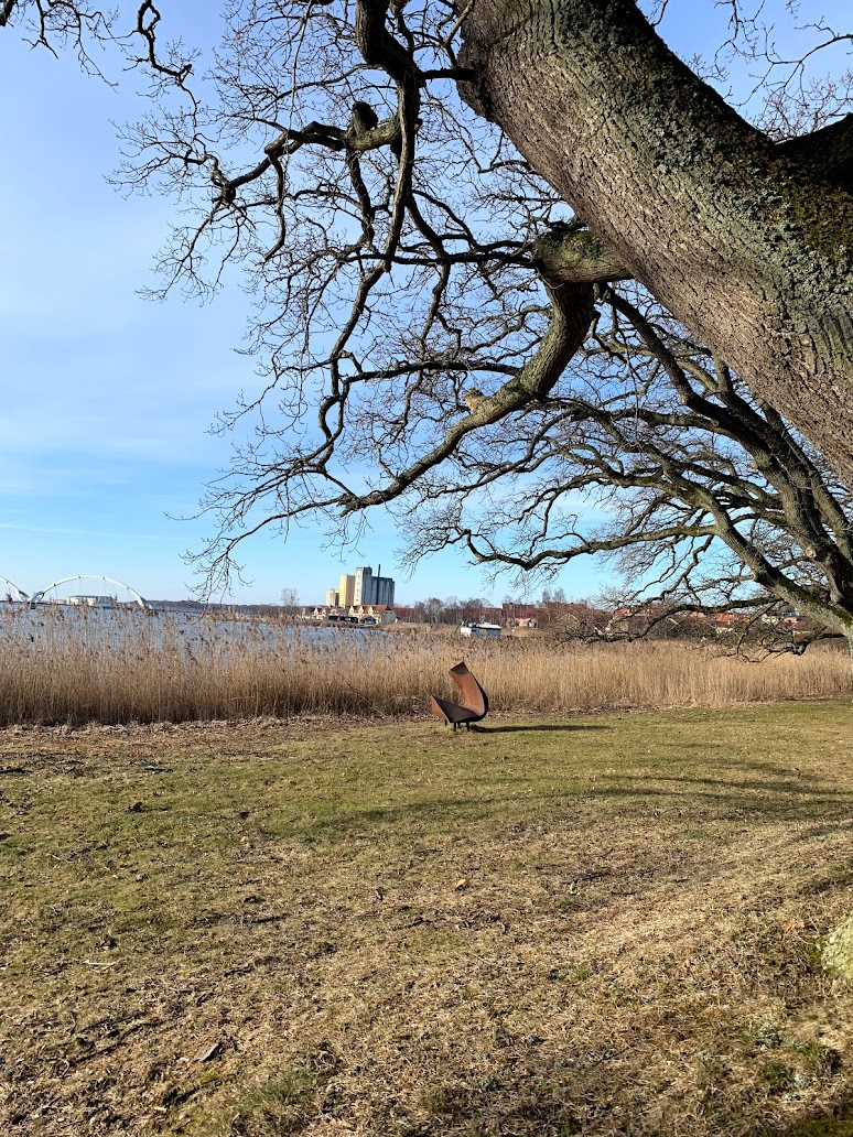 Utsikt över Sölvesborgsviken