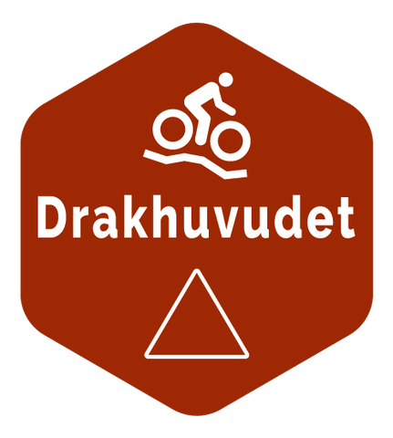 Drakhuvudet