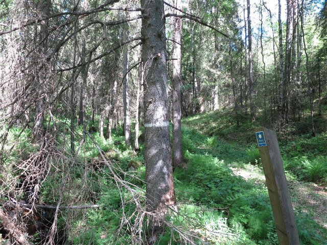 Trail from parking spot, Rackberget