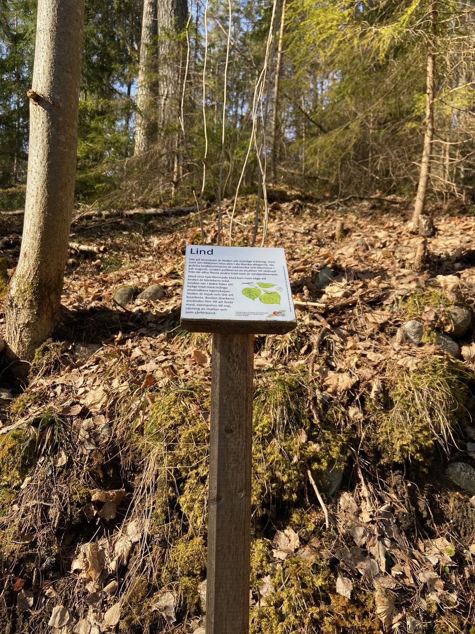 Liten skylt, 15 gånger 15 cm på stolpe med skog i bakgrunden