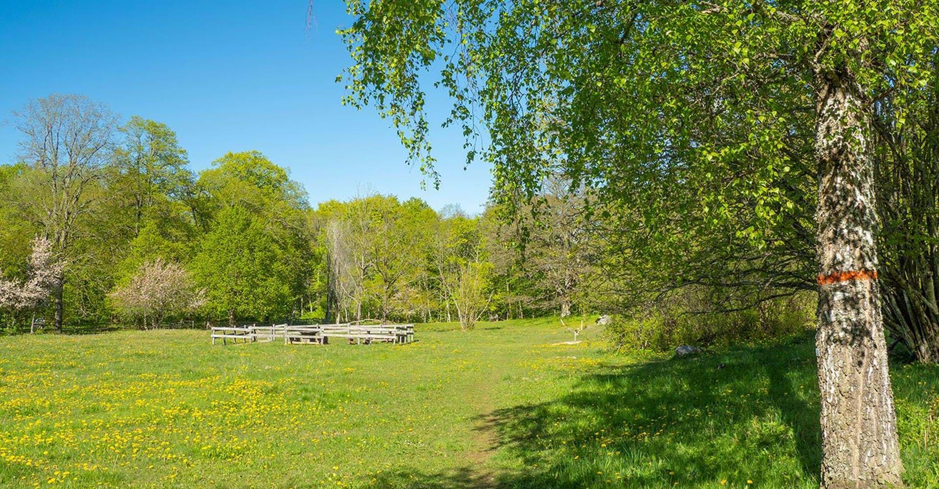 Rastplats vid Höje Lilläng.
Omberg.
Ödeshög.
