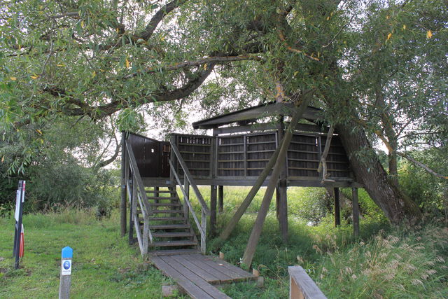 Fågelplattform, Årike Fyris