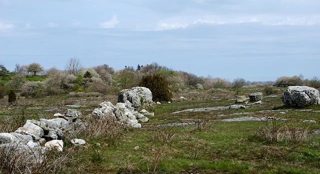 Bäckhalladalen, Naturreservat