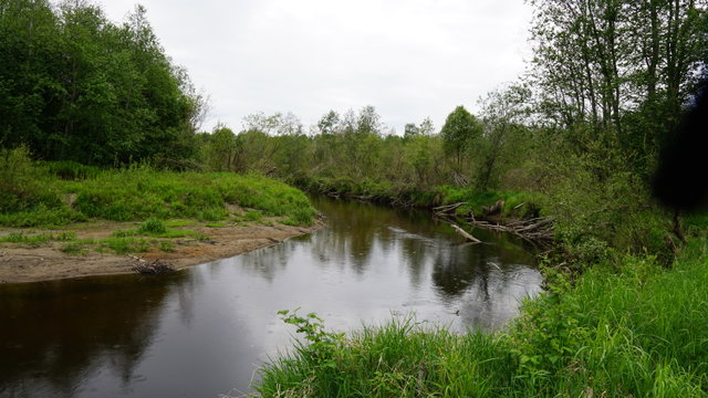 Selångersfjärden runt