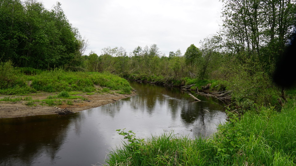 Selångersån