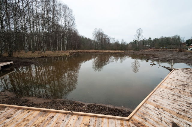 Groddamm i södra delen