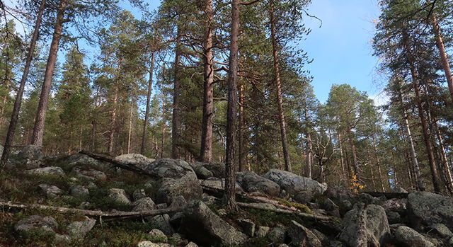 Åberget