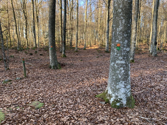 Vandringsled - Hensjönäsets naturreservat (grön)
