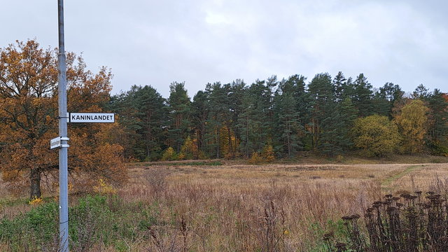 Kaninlandet