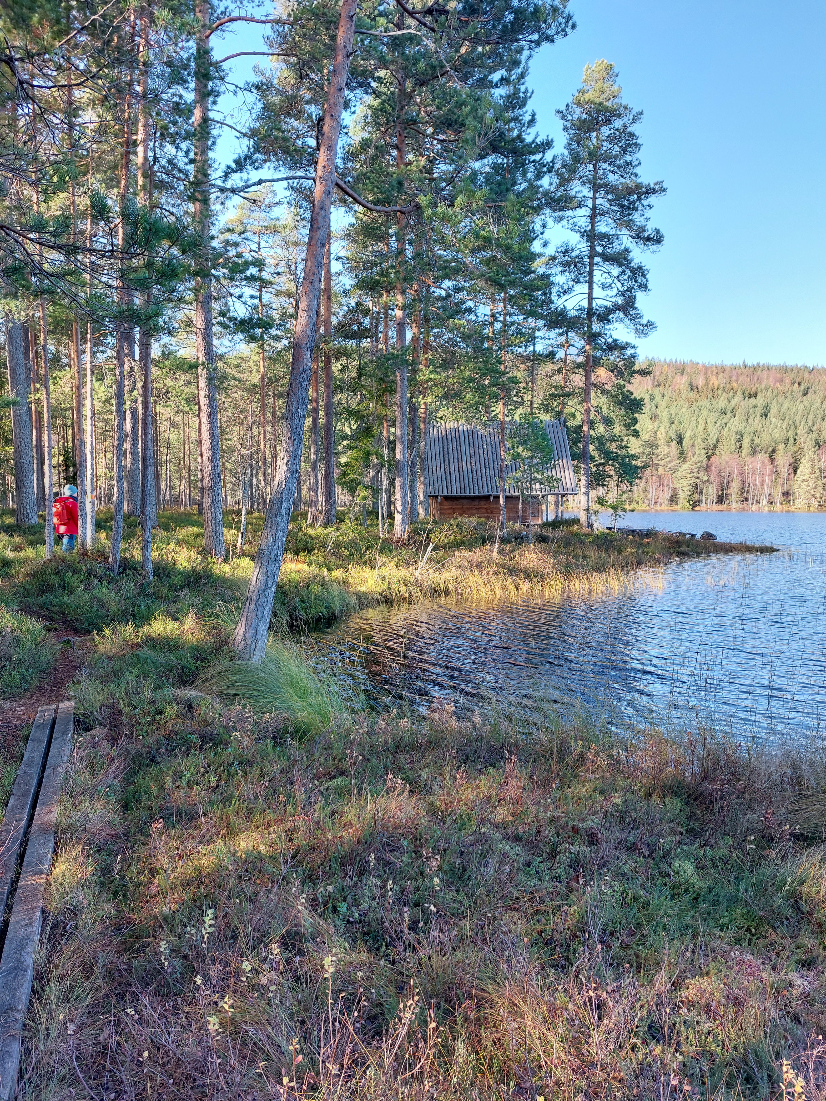 Svarttjärn