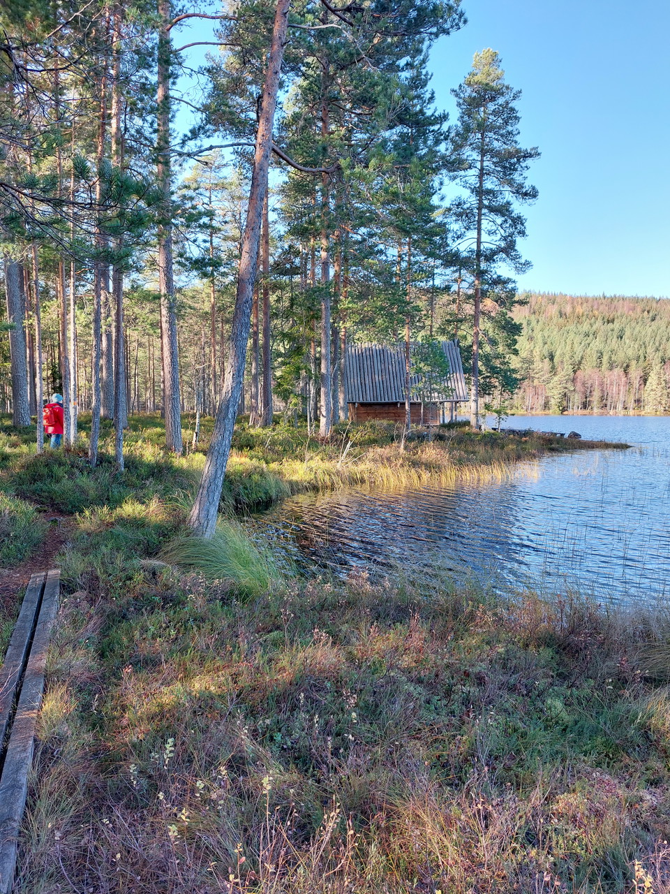 Svarttjärn