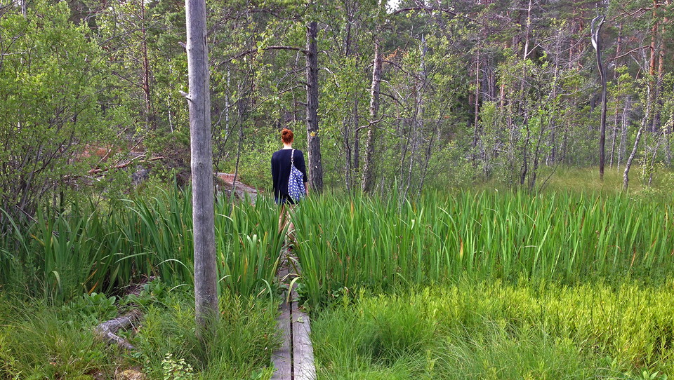 Stigarna genom reservatet bjuder på varierad natur.