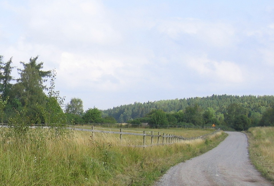 Liten grusväg och hage. Skogklädd ås i bakgrunden.