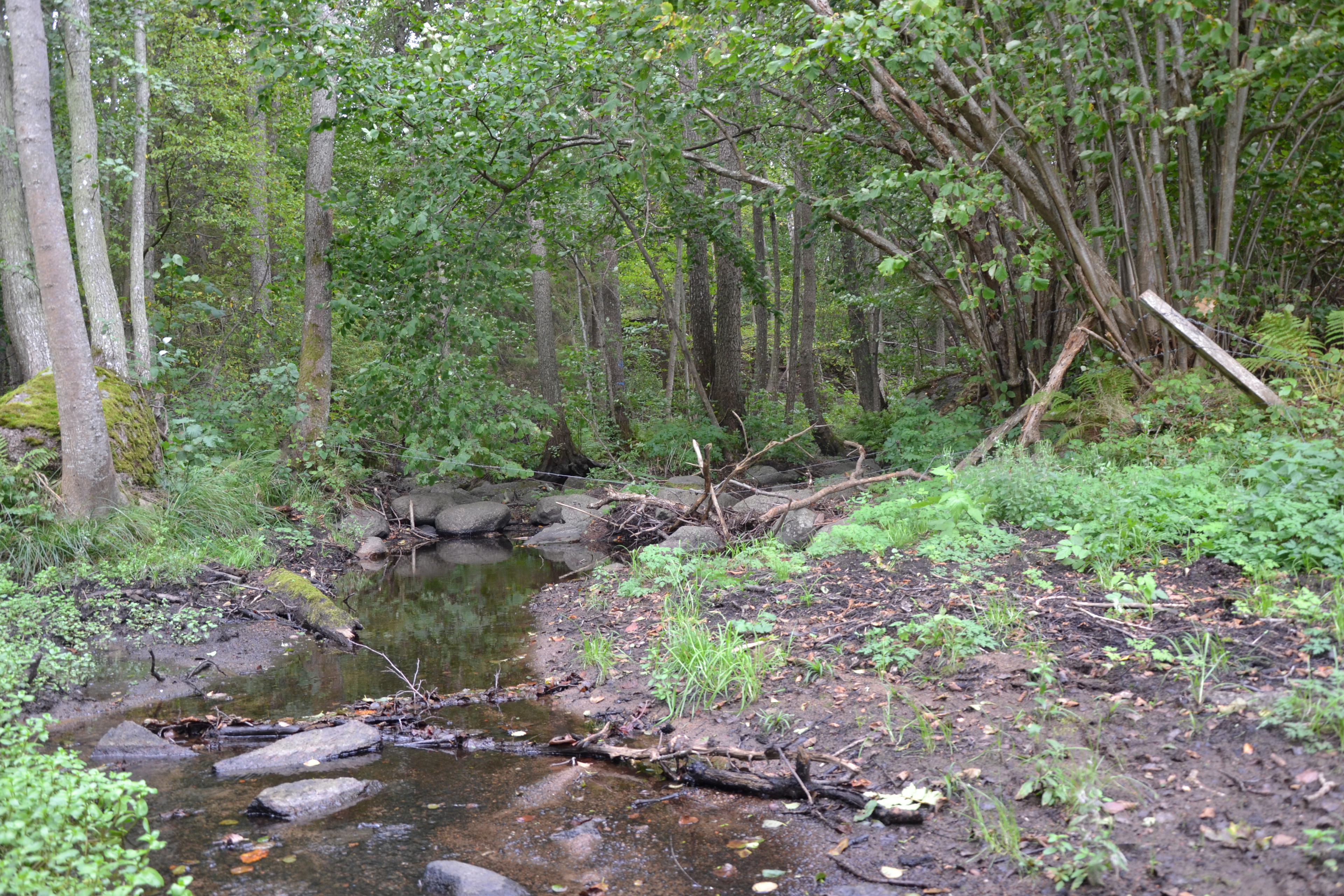Dammanläggningen vid Orrnäs smedja.