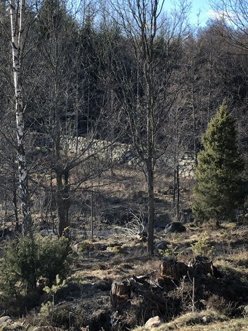 4. Kyrkemo