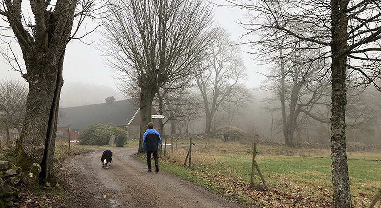 Ullstorpsslingan (4,6 km, gul).