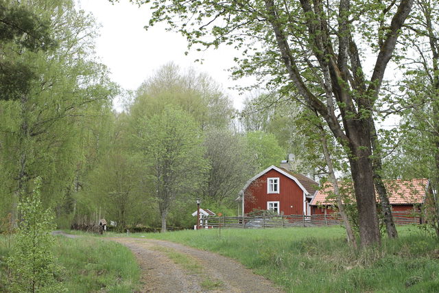 Utvandrarnas väg mellan Korpamoen och Åkerby