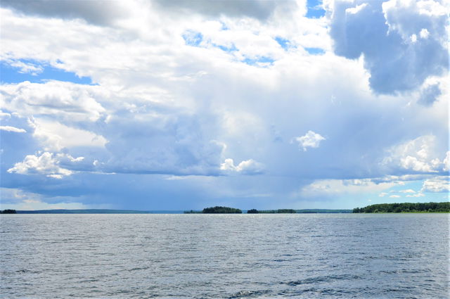 Skansholmens naturreservat