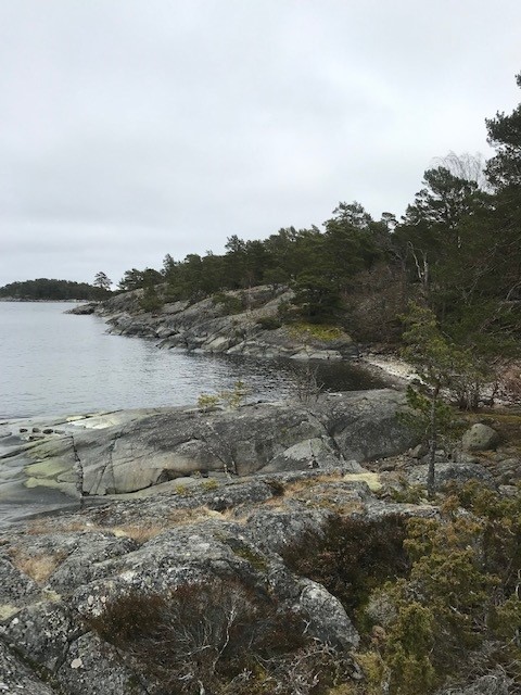 Skärgårdsvik med klippor och tallskog. I naturreservatet Norrholmen