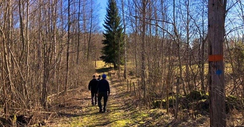 Rundslinga i Tjällmoskogarna.
Motala.