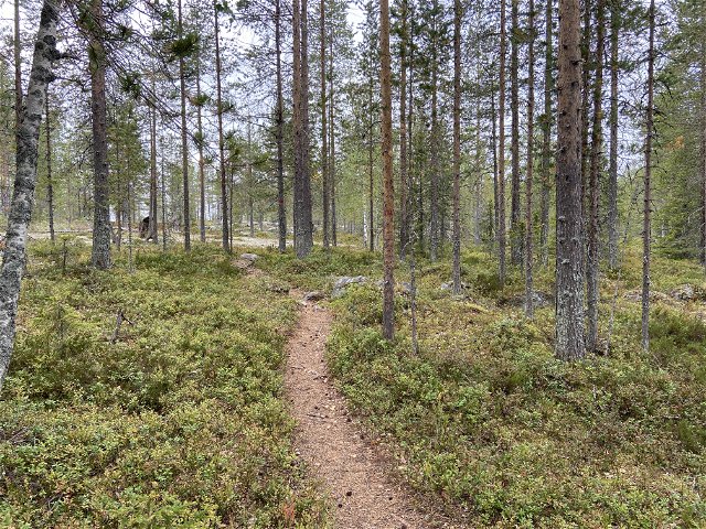 Trail, West entrance, Torrbergstjärn