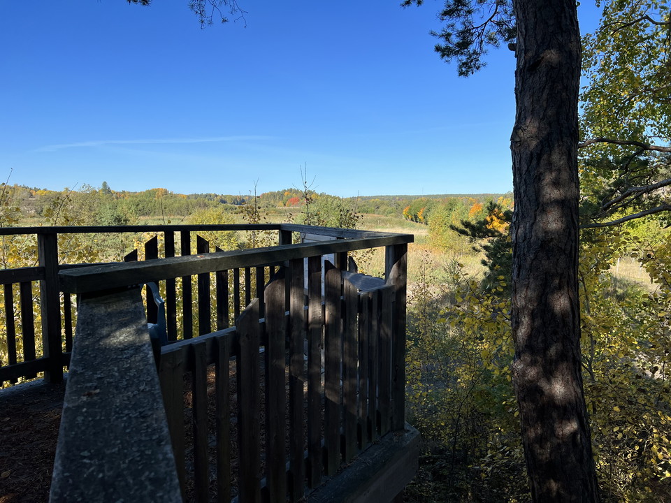 Fågeltorn med utsikt