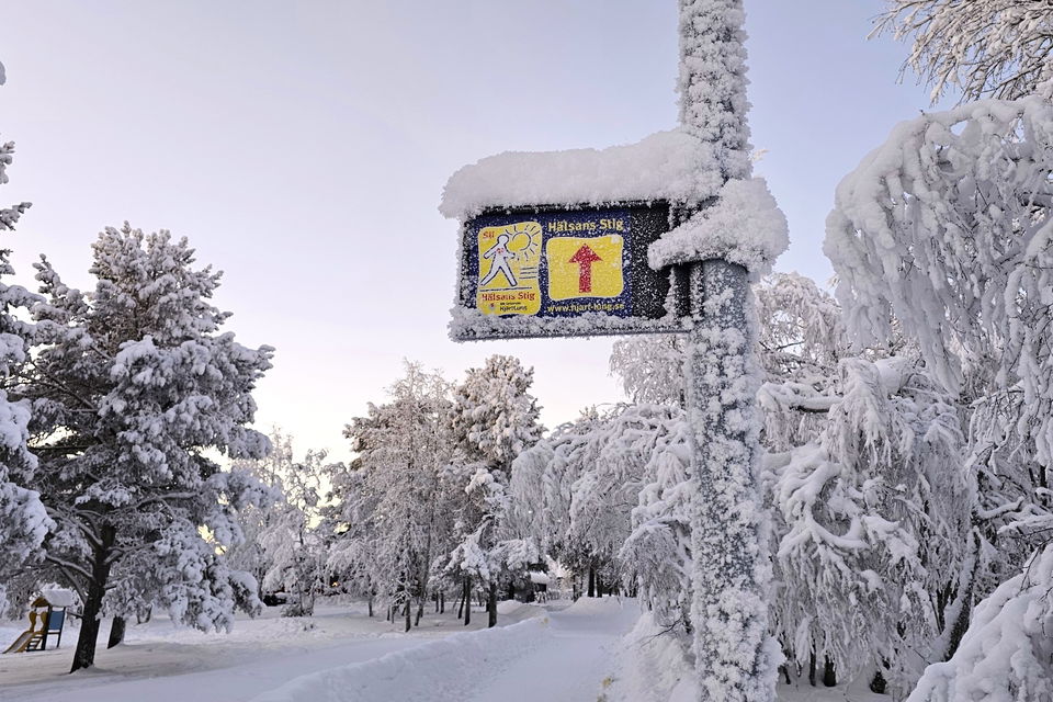 Kiruna Hälsans Stig Lombolo. Kastanjen