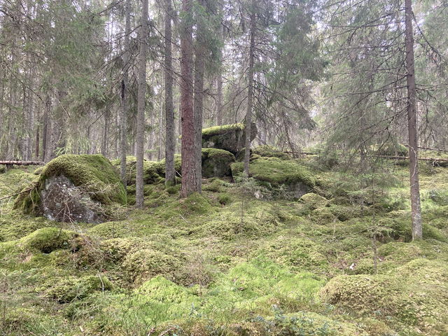 Hjärtasjöns skärgård naturreservat