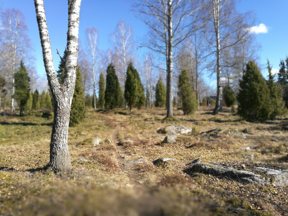 Fotograf: Ellen Flygare