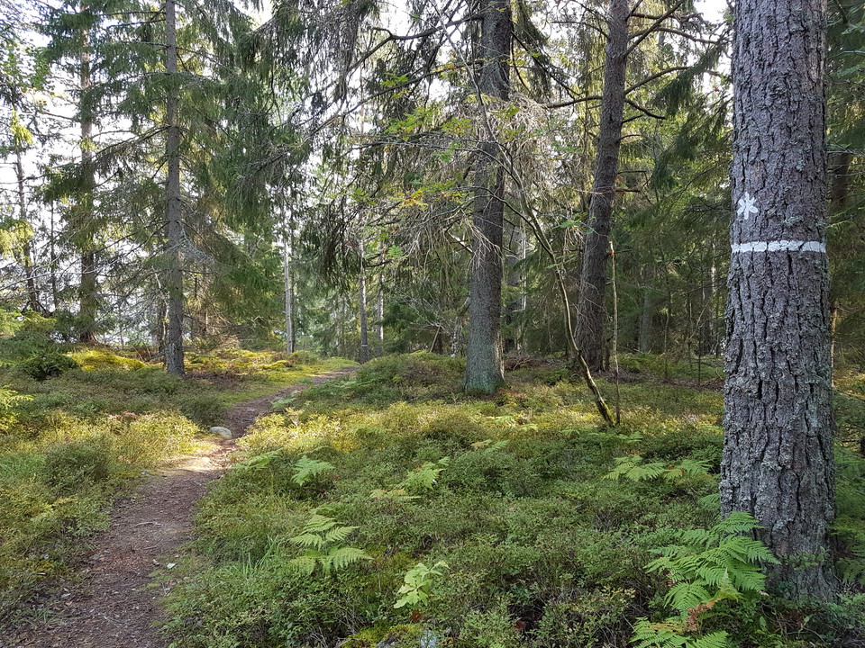 Mot Rävviken. Foto Lidingö stad.