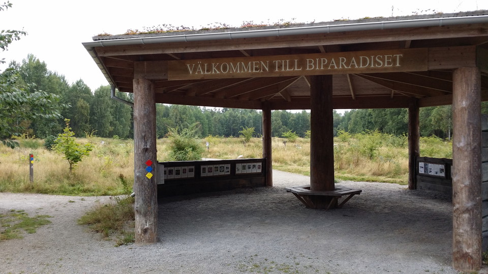 Informationspaviljong och väderskydd