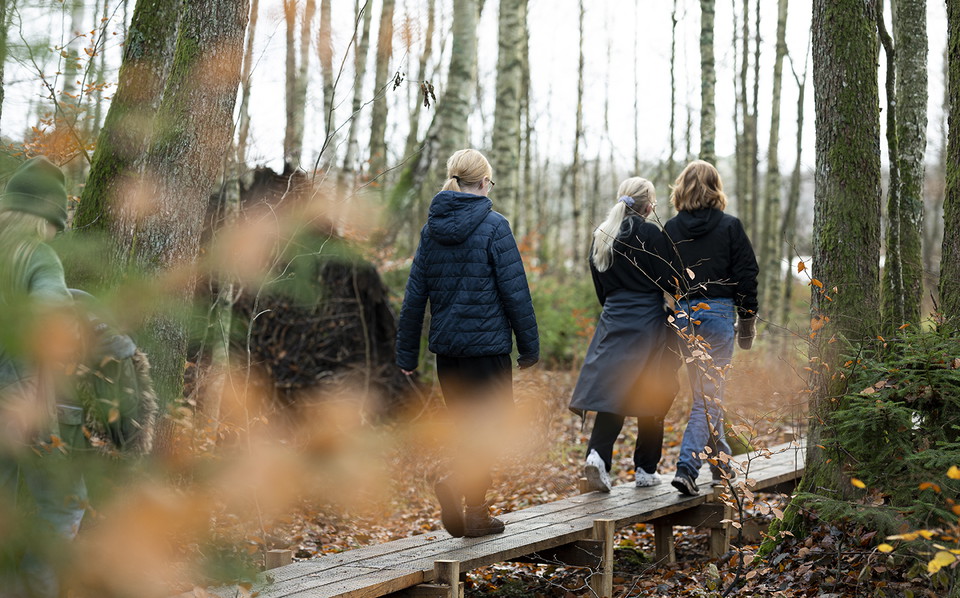 Ungdomar går på en spång i skogen