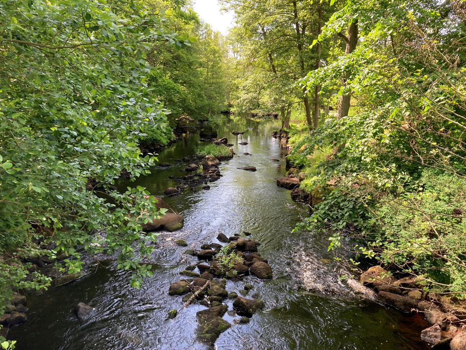 En av alla vackra vyer över Bräkneån. 