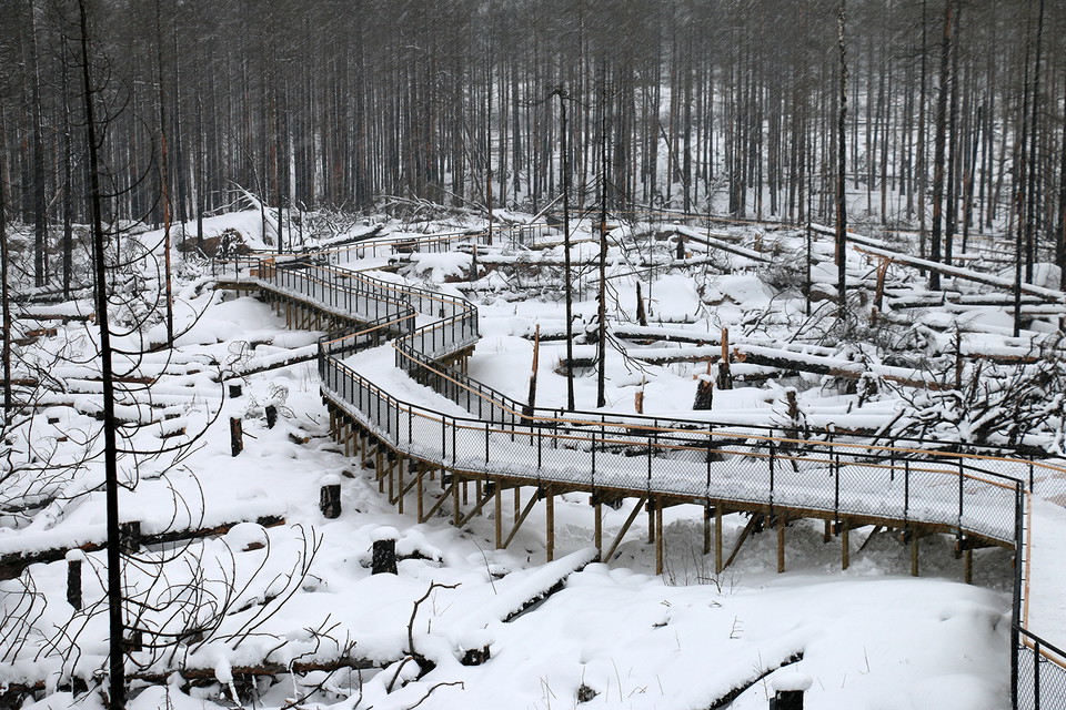 Ramp med staket som slingrar sig genom ett snötäckt landskap.