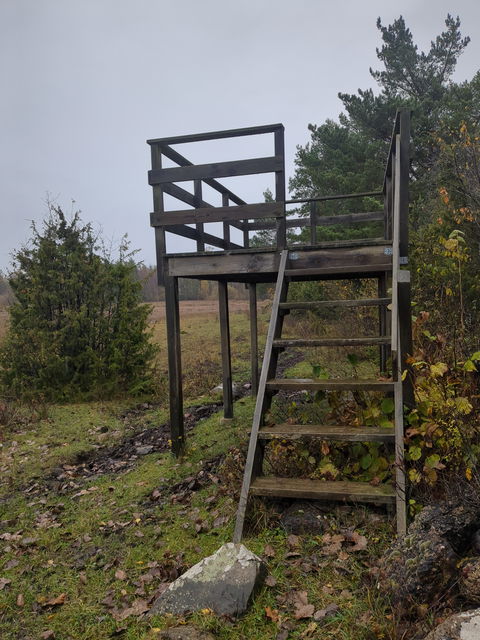 Utsiktstorn