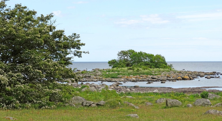 Stenig strand.