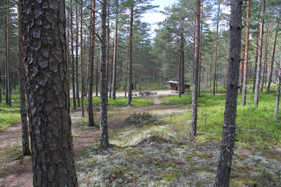 Rastplatsen med vindskydd på håll.