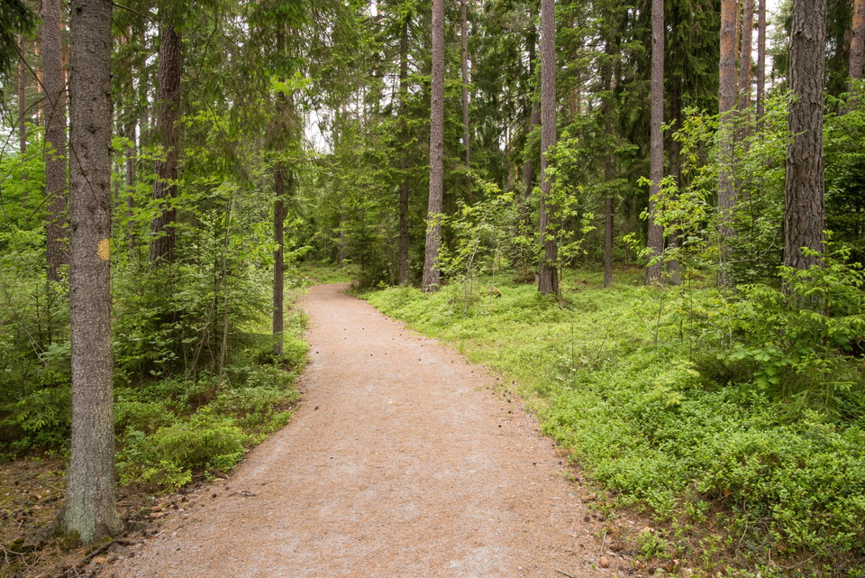 Fotograf: Tobias Ivarsson