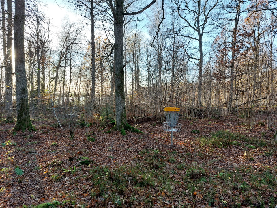 DiscGolfPark Pro Target korgar