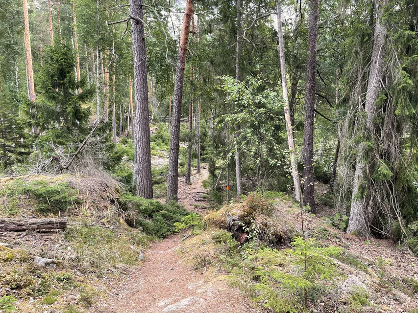 Naturen vid Nedre Långsjön