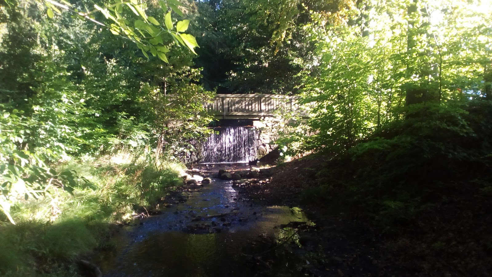 Tingvalla port till Söderåsen