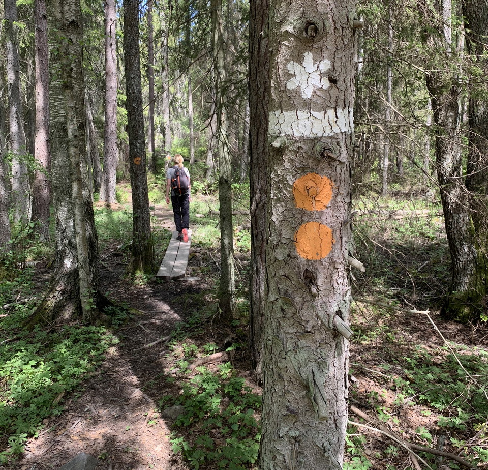 I Gullunge finns en fin vandringsslinga.