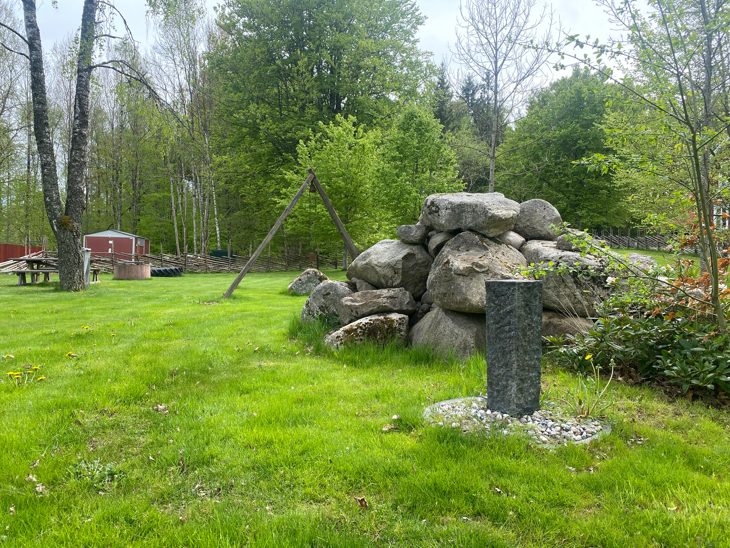 Stenröse