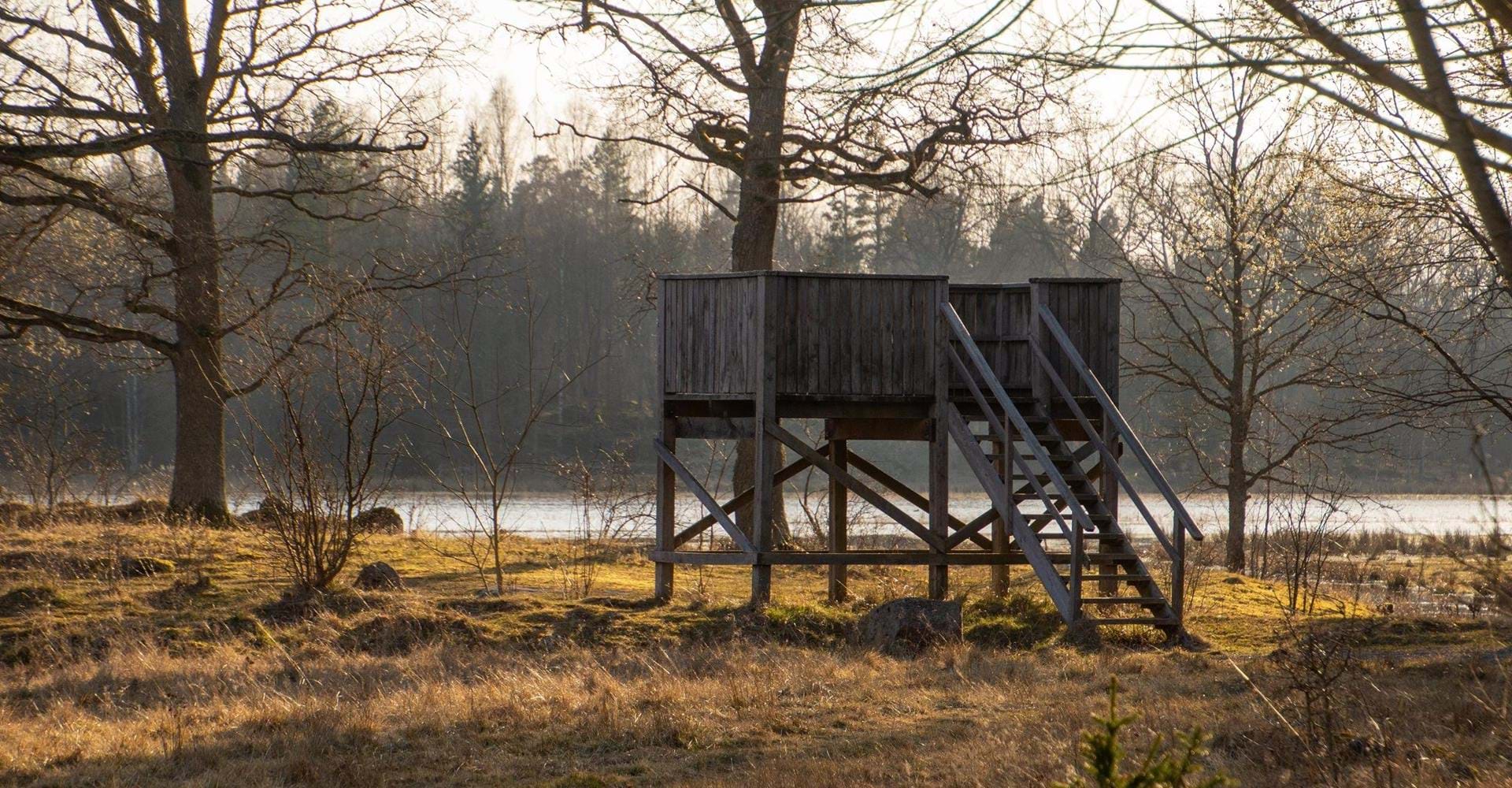 Fågeltorn vid Ekängsslingan Linköping